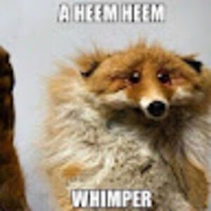 Meet your Posher, Lupin